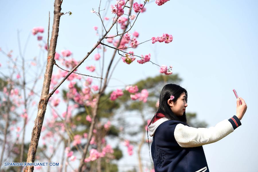Anhui: Paisaje de primavera en Hefei