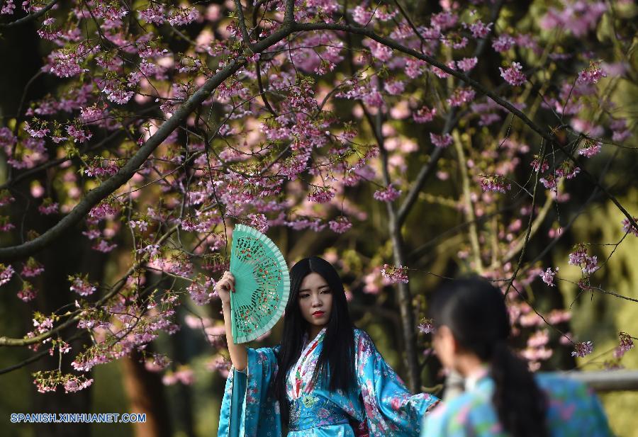 Hubei: Paisaje de flores de cerezo en Wuhan