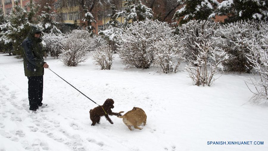 #CHINA-INNER MONGOLIA-CHIFENG-SNOWFALL (CN)