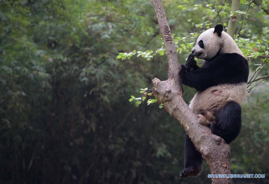 WEEKLY CHOICES OF XINHUA PHOTO