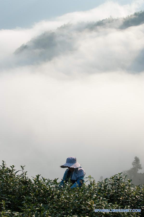 WEEKLY CHOICES OF XINHUA PHOTO