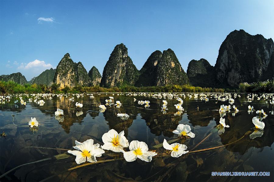 CHINA-FIRST NATURE IMAGE RECORD OF CHINA(CN)