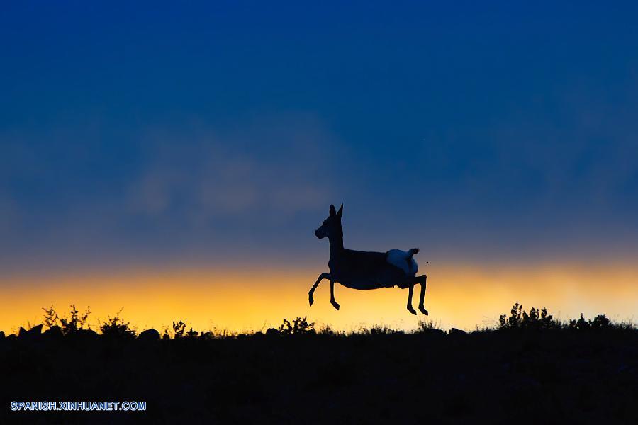 Fotos de Xinhua de la semana 20150406-0412