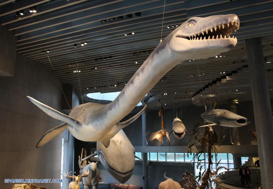 Se inaugura museo de historia natural de Shanghai