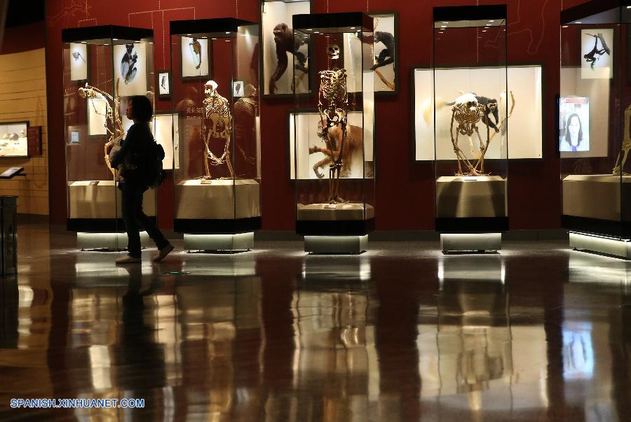 Se inaugura museo de historia natural de Shanghai