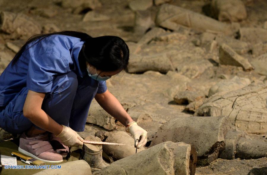 China puso en marcha el jueves un proyecto de una segunda excavación en una fosa funeraria en la antigua capital de Xi'an, donde un ejército de guerreros de terracota guarda el mausoleo del primer emperador chino.