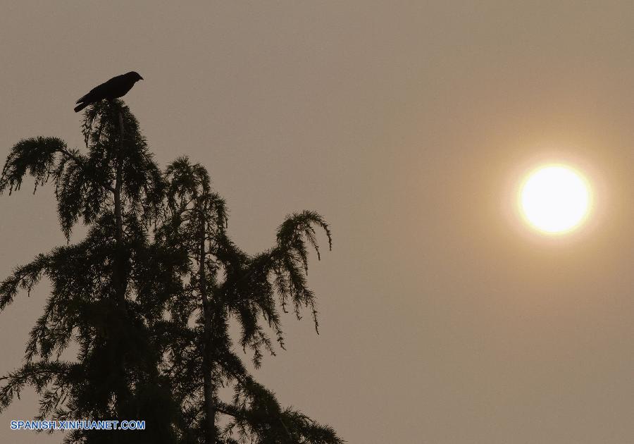 La zona metropolitana de Vancouver, considerada una de las ciudades más habitables del mundo, ha estado cubierta por una espesa capa de humo en los últimos dos días por los incendios registrados en la provincia canadiense occidental de Columbia Británica.