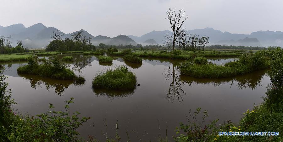 La fotografía tomada el 13 de julio muestra una vista del parque nacional del humedal Dajiuhu en Shennongjia en la provincia central china de Hubei. El humedal Dajiuhu que está compuesto por nueve lagos es el humedal más grande con altitud más alta en el centro de China