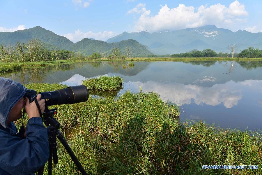 La fotografía tomada el 13 de julio muestra una vista del parque nacional del humedal Dajiuhu en Shennongjia en la provincia central china de Hubei. El humedal Dajiuhu que está compuesto por nueve lagos es el humedal más grande con altitud más alta en el centro de China