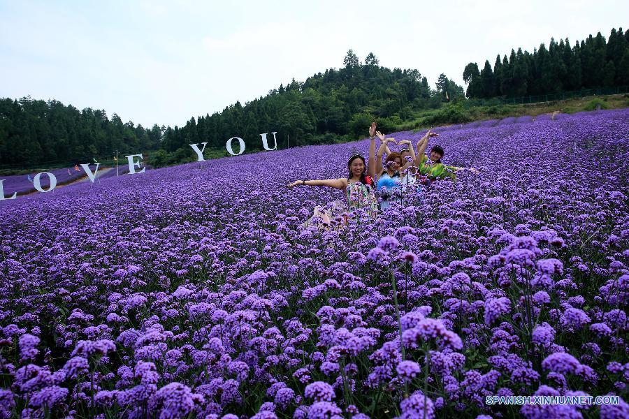 La gente visitó un jardín de lavanda en el distrito Fenghuang, en la prefectura autónoma TujiaMiao de Xiangxi, en la provincia central china de Hunan el 20 de julio. 