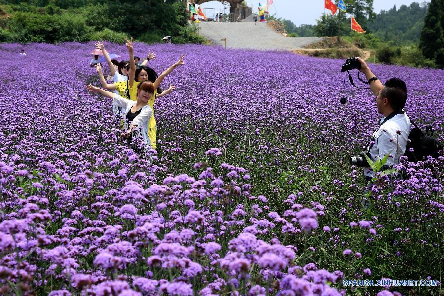 La gente visitó un jardín de lavanda en el distrito Fenghuang, en la prefectura autónoma TujiaMiao de Xiangxi, en la provincia central china de Hunan el 20 de julio. 