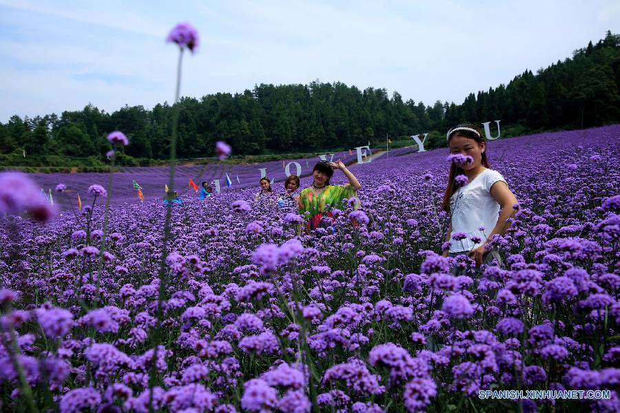 La gente visitó un jardín de lavanda en el distrito Fenghuang, en la prefectura autónoma TujiaMiao de Xiangxi, en la provincia central china de Hunan el 20 de julio. 