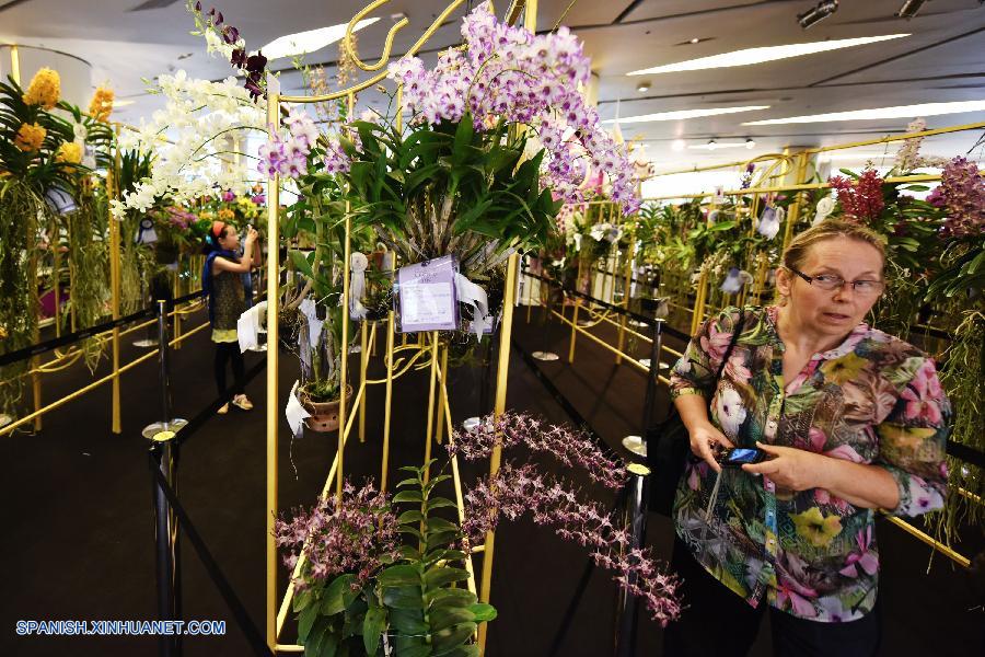 Tailandia: Exhiben más que 120 tipos de orquídeas en Bangkok