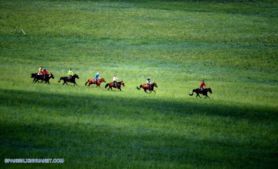 Fotos de caballos en praderas en Condado Baoligen de Xilinhot