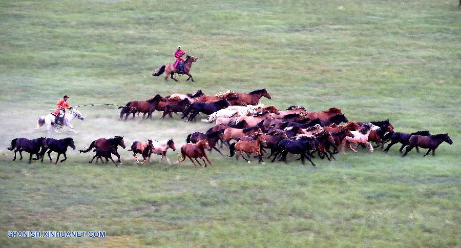 Fotos de caballos en praderas en Condado Baoligen de Xilinhot
