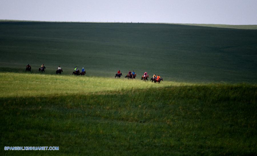 Fotos de caballos en praderas en Condado Baoligen de Xilinhot