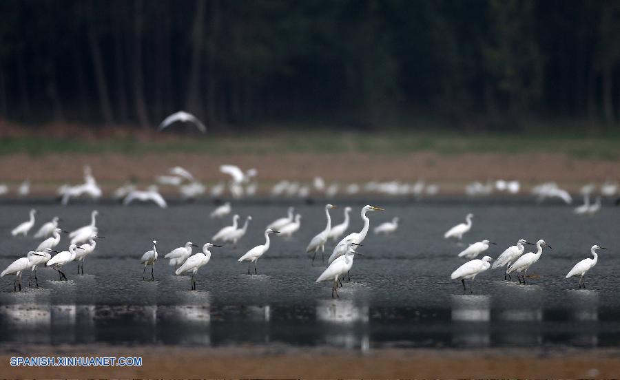 Shanxi: Reserva Natural de Humedal en Condado Pinglu