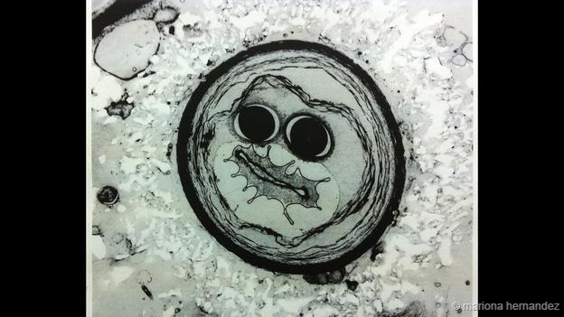 Mundo increíble bajo microscopio