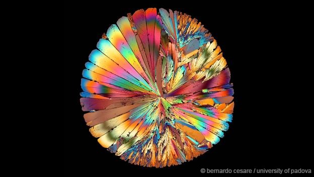 Mundo increíble bajo microscopio