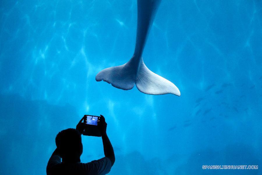 #CHINA-TIANJIN-AQUARIUM-NIGHT (CN)