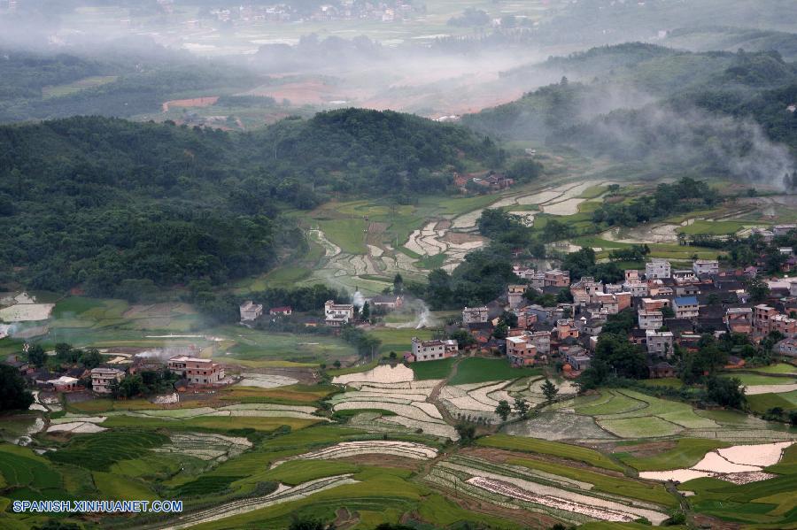 Guangxi: Arrozal en Longshui de Condado Quanzhou