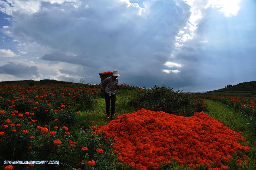 Fotos de Xinhua de la semana 0803-0809