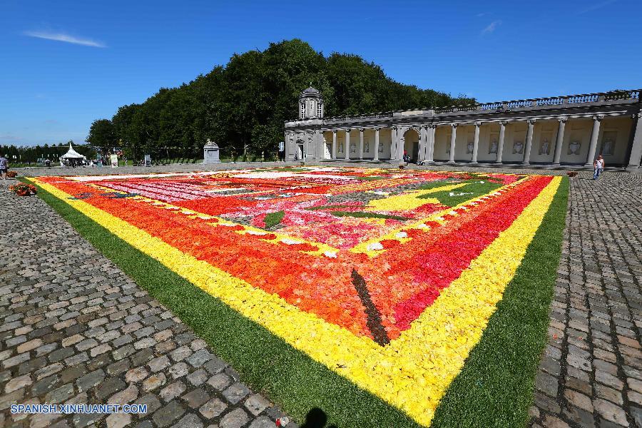 Bélgica: Alfombra de flores en Seneffe