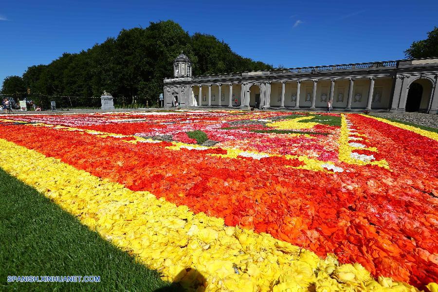Bélgica: Alfombra de flores en Seneffe