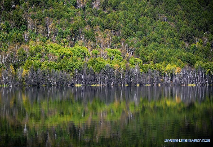 Foto tomada el 13 de septiembre de 2015 muestra paisaje de otoño del Lago Dujuan en la región autónoma de Mongolia Interior en el norte de China. 