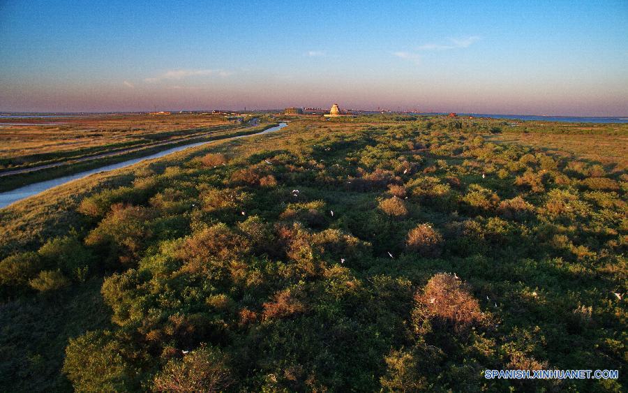 Foto tomada el 12 de septiembre muestra una vista aérea de la isla de turismo internacional de la bahía Tangshan, en la ciudad de Tangshan, en la provincia norteña china de Hebei. La isla está compuesta por la isla de Bodhi, la isla de la luna, y la isla de nube feliz.  