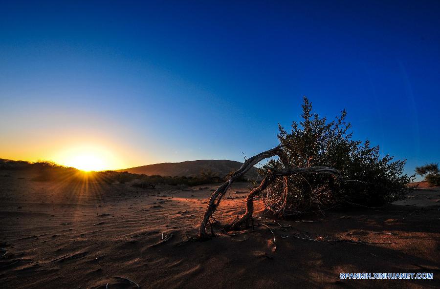 La foto tomada el 22 de septiembre muestra el paisaje del desierto de Badain Jaran en el amanecer en Araxan en la región autónoma de Mongolia Interior, en el norte de China. El desierto Badian Jaran, el segundo mayor desierto de China, ocupa una área de 47.000 kilómetros cuadrados y es famoso por las montañas de arena más altas en China, algunas de las cuales miden 500 metros. El desierto también está decorado por númerosos lagos. 