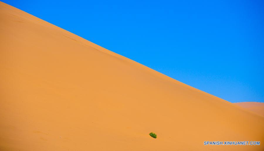 La foto tomada el 22 de septiembre muestra el paisaje del desierto de Badain Jaran en el amanecer en Araxan enla región autónoma de Mongolia Interior, en el norte de China. El desierto Badian Jaran, el segundo mayor desierto de China, ocupa una area de 47.000 kilómetros cuadrados y es famoso por las montañas de arena más altas en China, algunas de las cuales miden 500 metros. El desierto también está decorado por númerosos lagos. 
