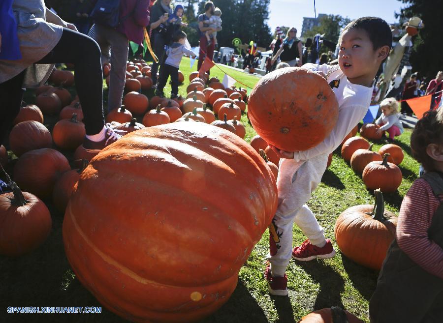 Canadá: Celebran Festival de la Calabaza en Vancouver