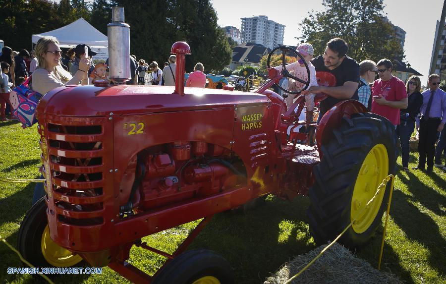 Canadá: Celebran Festival de la Calabaza en Vancouver