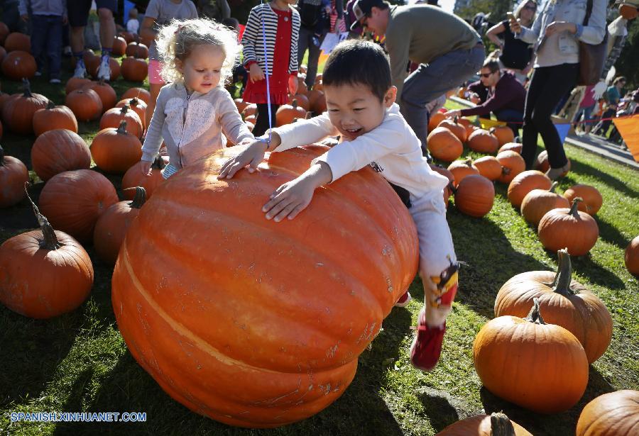 Canadá: Celebran Festival de la Calabaza en Vancouver