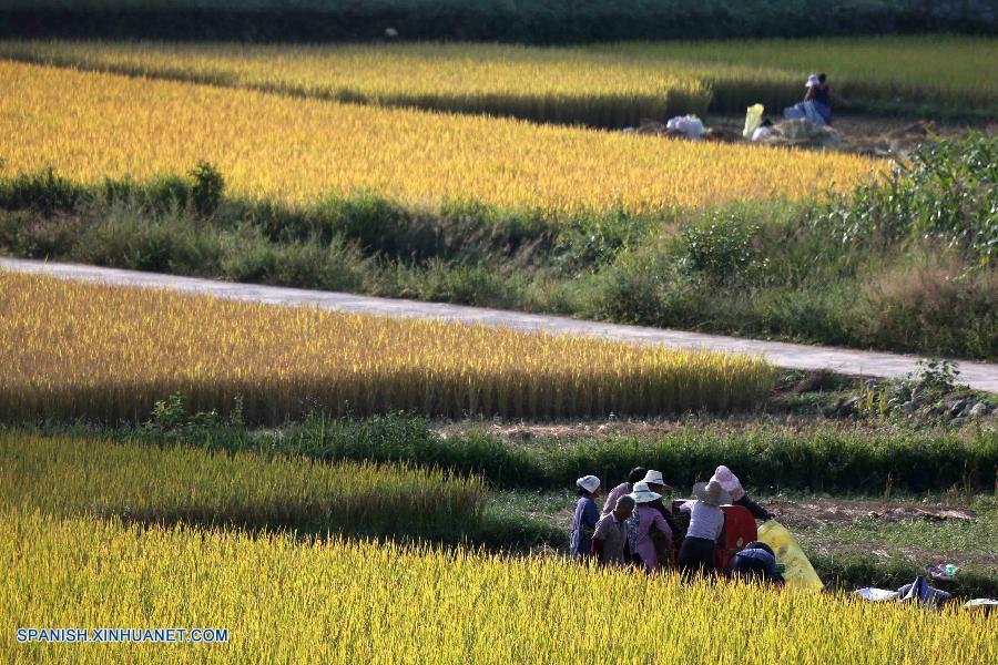 Guangxi: Paisaje de otoño del condado Jingxi