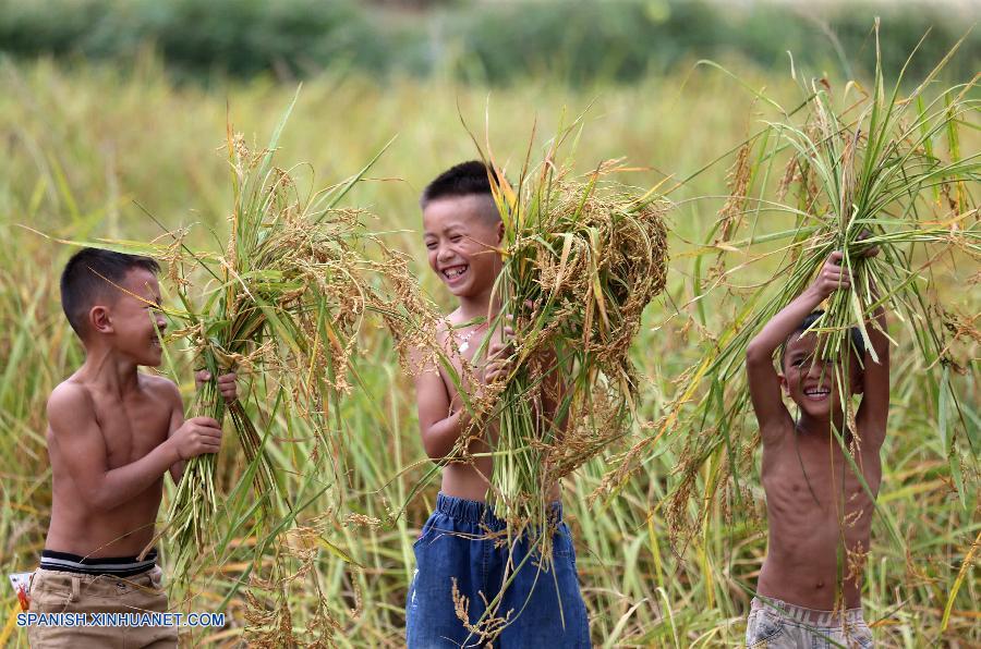 Guangxi: Paisaje de otoño del condado Jingxi