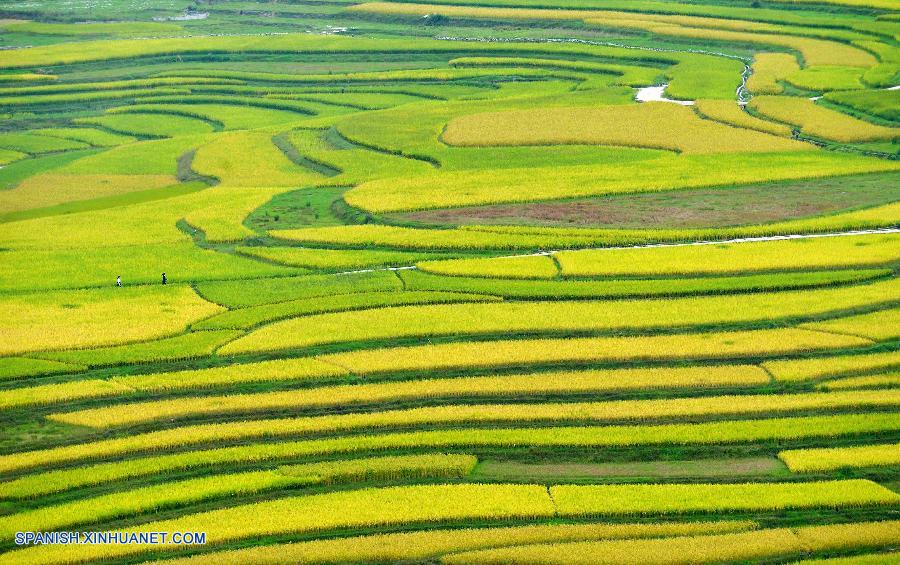 Bello paisaje de otoño en China