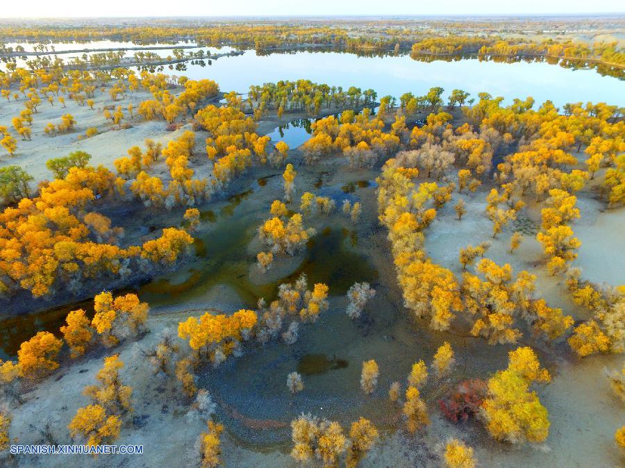 Bello paisaje de otoño en China