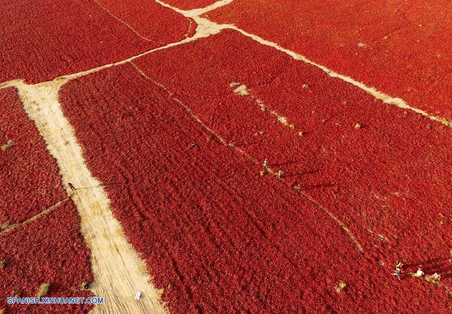 Bello paisaje de otoño en China