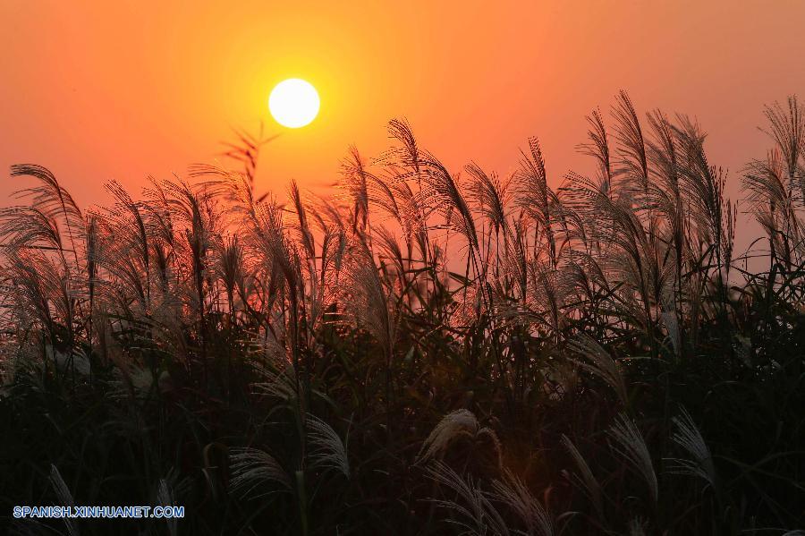 Bello paisaje de otoño en China