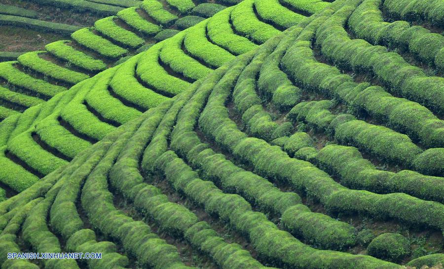 Bello paisaje de otoño en China