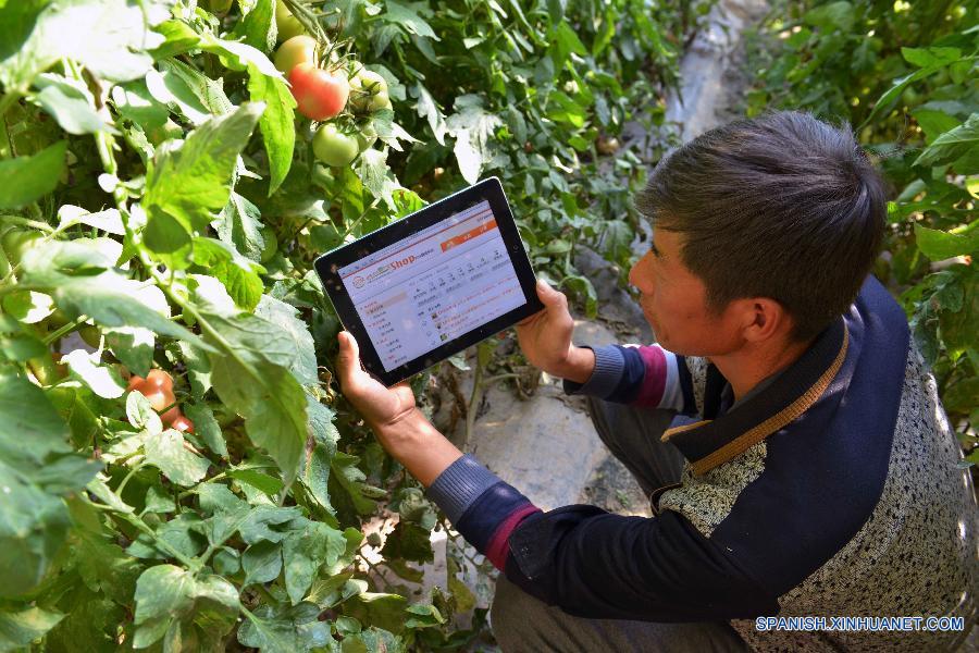 Un campesino observaba la venta de sus productos por una tableta.