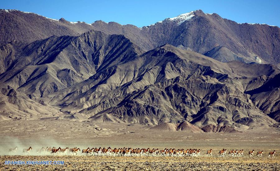 Xinjiang: Reserva Nacional de Montañas Altun en Ruoqiang