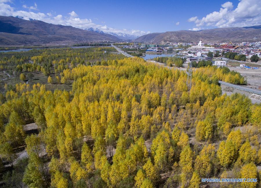 La foto tomada el 29 de octubre de 2015 muestra el paisaje del parque del humedal de Yalong Lingka en la prefectura autónoma tibetana de Garze en la provincia suroccidental china de Sichuan. El parque de 8,8 kilómetros cuadrados fue establecidos recientemente con una inversión de más de 40 millones de yuanes (unos 6.29 millones de dólares) del gobierno local de Garze desde 2014.  