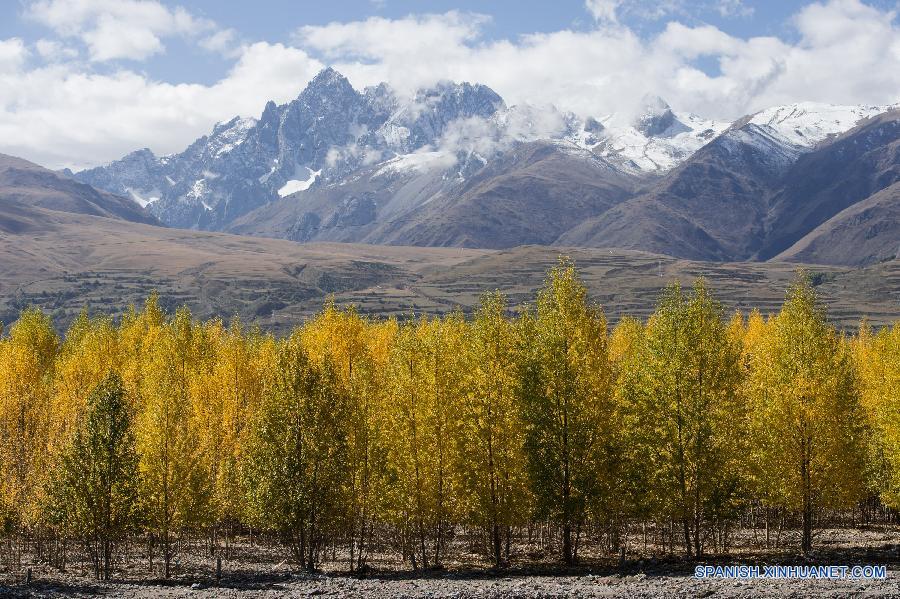 La foto tomada el 29 de octubre de 2015 muestra el paisaje del parque del humedal de Yalong Lingka en la prefectura autónoma tibetana de Garze en la provincia suroccidental china de Sichuan. El parque de 8,8 kilómetros cuadrados fue establecidos recientemente con una inversión de más de 40 millones de yuanes (unos 6.29 millones de dólares) del gobierno local de Garze desde 2014.  