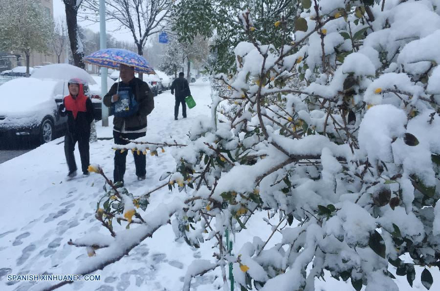 La primera nieve en Beijing