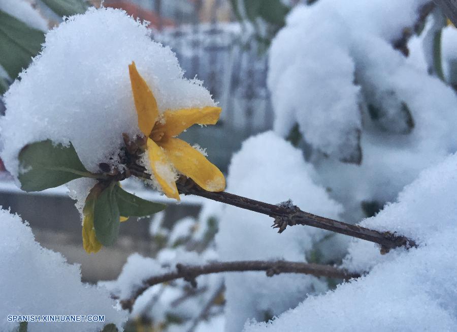 La primera nieve en Beijing