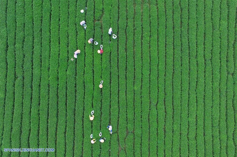 Visión 2015: Fotos impresionantes de personas seleccionadas por Xinhua