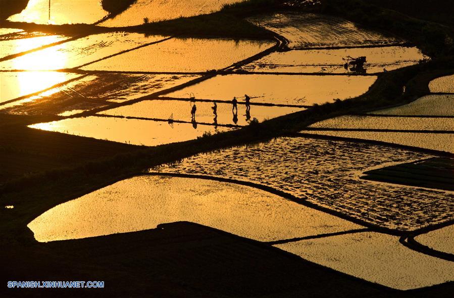 Visión 2015: Fotos impresionantes de personas seleccionadas por Xinhua